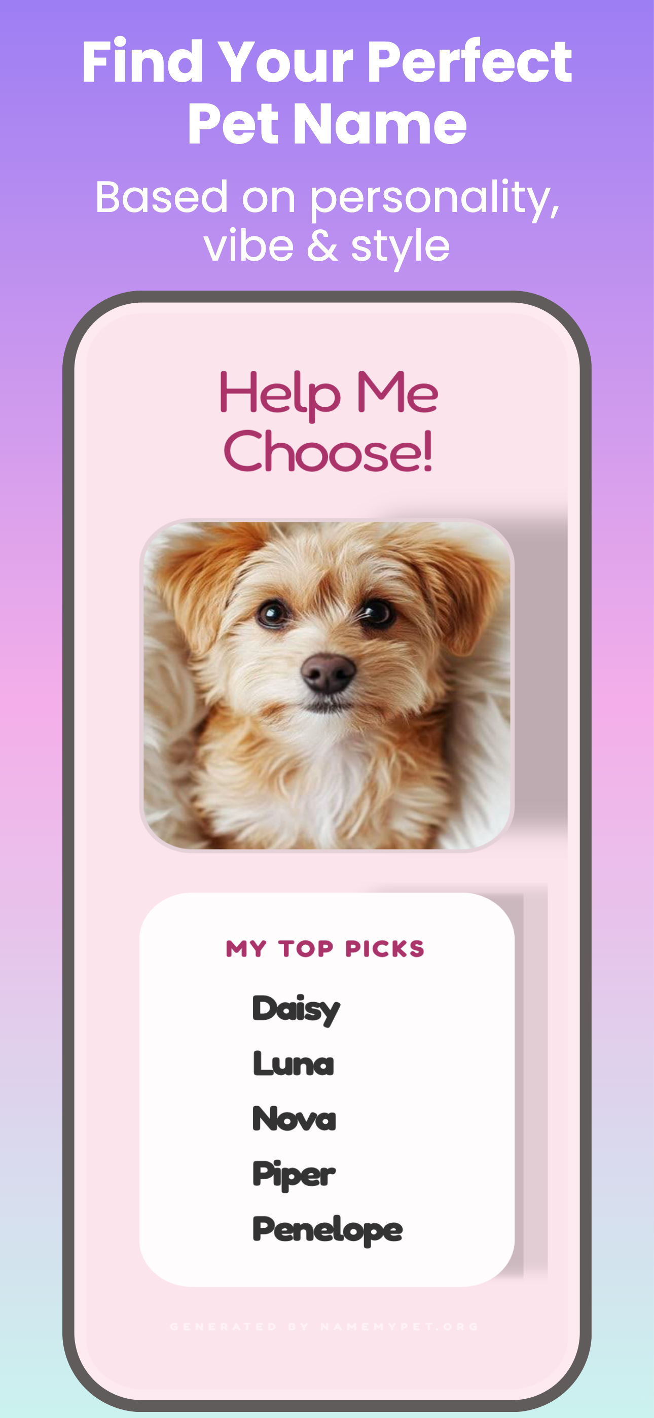 My PetaVerse App — 1