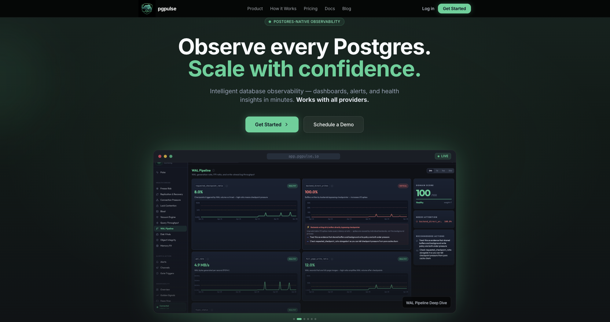 pgpulse — 2 of 3